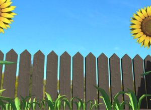 Learning-About-Photosynthesis-In-VR