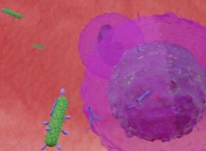 Learning-about-Immunity-and-Response-in-VR