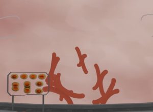 Learning-about-cell-cycles-in-VR