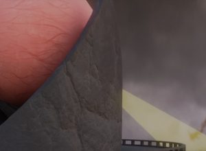 Learning-about-how-do-eyes-work-in-VR