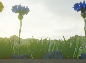 Learning-about-the-structure-of-a-leaf-in-VR