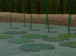 learning-about-amphibians-as-animals-in-VR