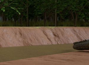 learning-about-banks-of-the-amazon-in-VR