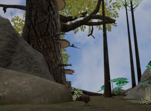 learning-about-birds-as-animals-in-VR