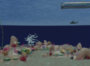 learning-about-fish-as-animals-in-VR