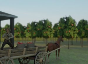 learning-about-force-of-gravity-in-VR