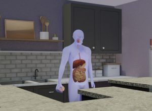 learning-about-the-human-digestive-system-in-VR