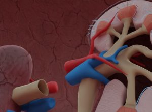 learning-about-the-human-kidneys-and-urinary-system-in-VR