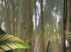 rainforest-trees-virtual-reality-lesson rainforest-trees-virtual-reality-lesson