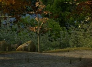 teaching-environments-habitats-biomes-vr teaching-environments-habitats-biomes-vr