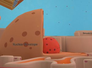 teaching-vr-animal-cells