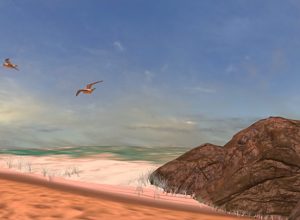 teaching-vr-coastal-habitat