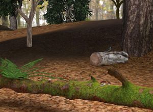 teaching-vr-forest-woods-floor