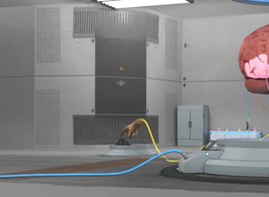 teaching-vr-human-senses