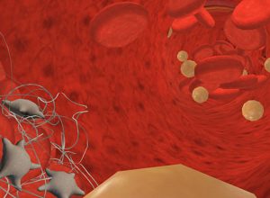 teaching-vr-inside-veins