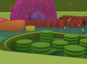 teaching-vr-plant-cells-biology