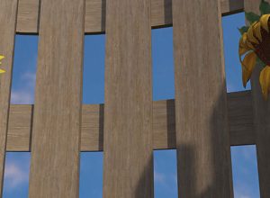 teaching-vr-plant-life-cycle