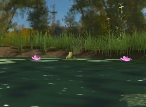 teaching-vr-pond-life