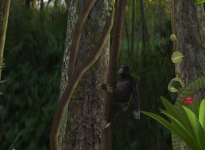 teaching-vr-rainforest-habitat